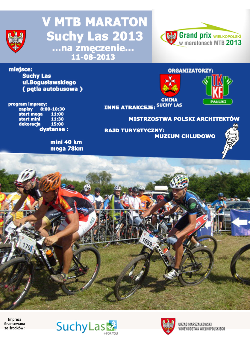 plakat 13 suchy las 2